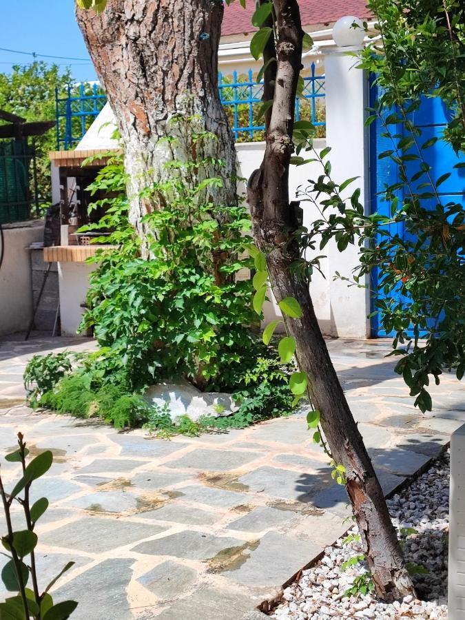 A Cozy Whole House Near The Airport And The