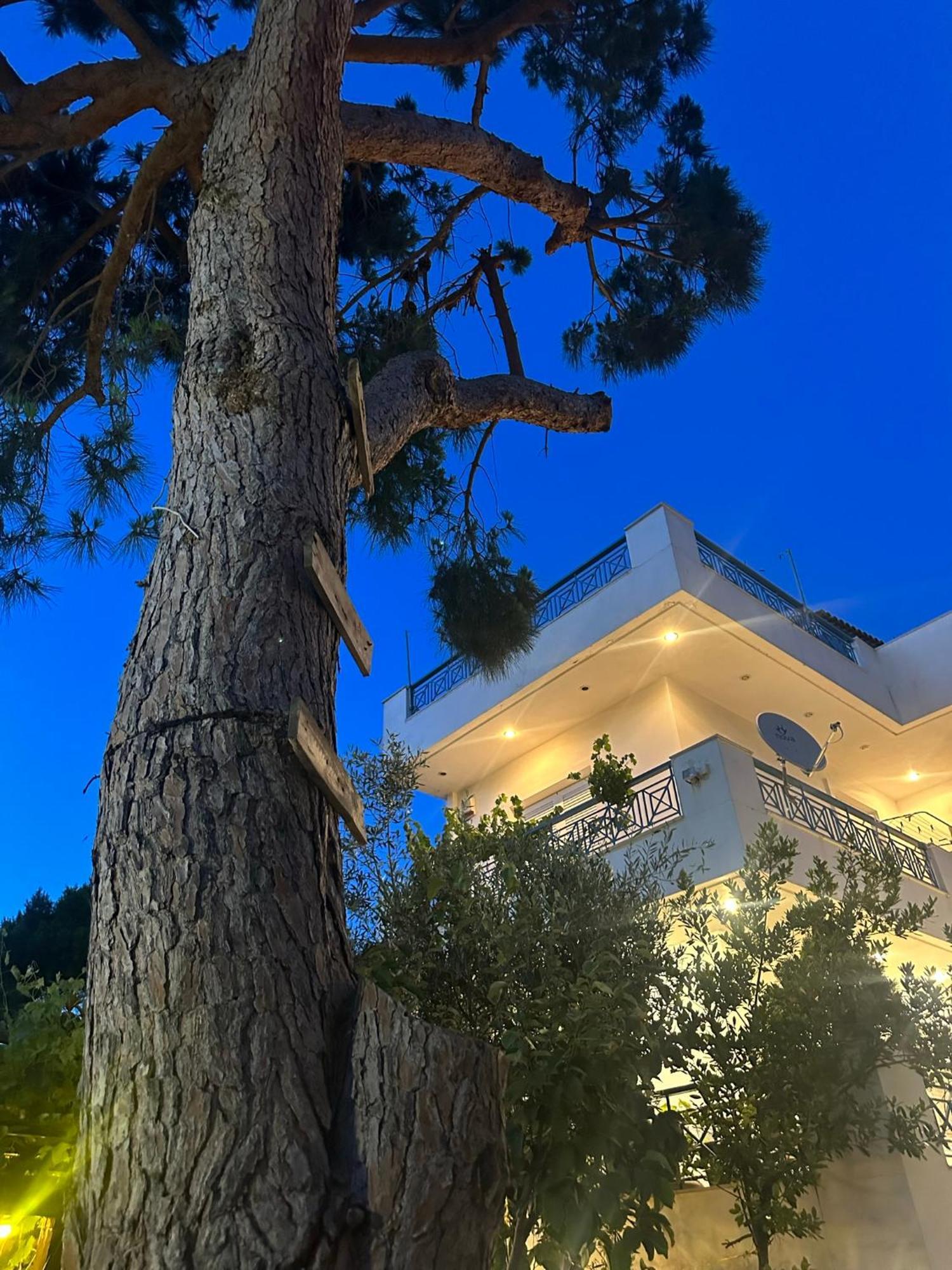 A Cozy Whole House Near The Airport And The
